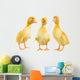 Ducklings Wall Decal