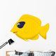Cute Butterfly Fish Cartoon Wall Decal