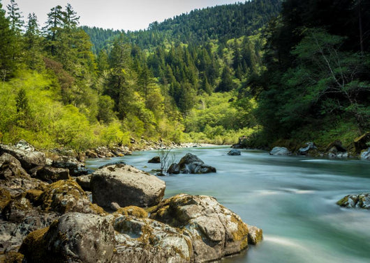 Smith River Wall Decal