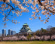 Osaka Castle Osaka Japan Wall Decal