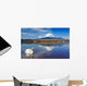 White Swan with Mount Wall Decal