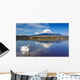 White Swan with Mount Wall Decal