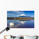 White Swan with Mount Wall Decal