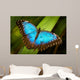 Blue Butterfly Green Leaf Wall Decal
