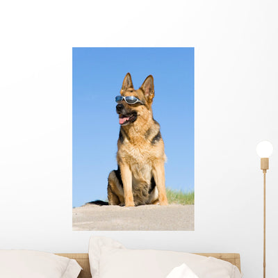 Sheep-dog Sitting Sand Beach Wall Decal shown on a wall