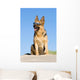 Sheep-dog Sitting Sand Beach Wall Decal