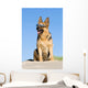 Sheep-dog Sitting Sand Beach Wall Decal