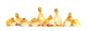 Many Fluffy Baby Ducklings Wall Decal