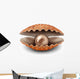 Pearl Open Shell Wall Decal