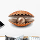 Pearl Open Shell Wall Decal