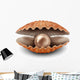 Pearl Open Shell Wall Decal