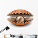 Pearl Open Shell Wall Decal