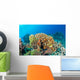 Maldives Corals House for Wall Decal