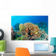 Maldives Corals House for Wall Decal