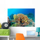Maldives Corals House for Wall Decal