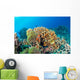 Maldives Corals House for Wall Decal