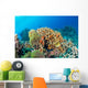 Maldives Corals House for Wall Decal