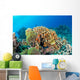 Maldives Corals House for Wall Decal