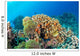 Maldives Corals House for Wall Decal