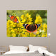 Schmetterling 127 Wall Decal
