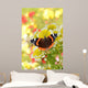 Schmetterling 140 Wall Decal
