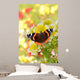 Schmetterling 140 Wall Decal