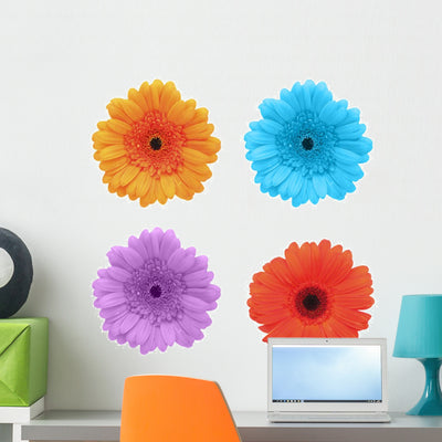 Flower White Gerbera Wall Stickers Wall Decal shown on a wall