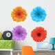Flower White Gerbera Wall Stickers Wall Decal
