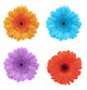 Flower White Gerbera Wall Stickers Wall Decal