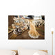 Cute Little Tiger Cub Wall Decal