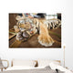 Cute Little Tiger Cub Wall Decal