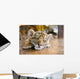 Small Tiger Sleeping Wall Decal