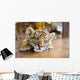Small Tiger Sleeping Wall Decal