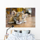 Small Tiger Sleeping Wall Decal