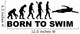 Swimming Evolution Wall Decal