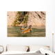 Adult Tigers Play Fighting Wall Decal
