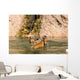 Adult Tigers Play Fighting Wall Decal