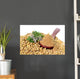 Coriander Seeds Fresh Coriander Wall Decal