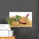Coriander Seeds Fresh Coriander Wall Decal