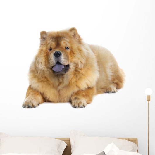 Chow-chow Dog Wall Decal Design 2