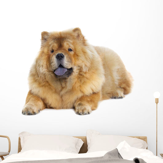 Chow-chow Dog Wall Decal Design 2
