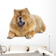 Chow-chow Dog Wall Decal Design 2