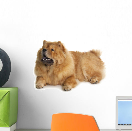 Chow-chow Dog Wall Decal Design 1