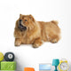 Chow-chow Dog Wall Decal Design 1