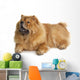 Chow-chow Dog Wall Decal Design 1