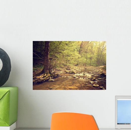 River Woods Wall Decal