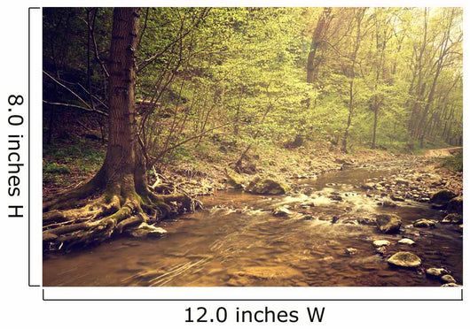 River Woods Wall Decal