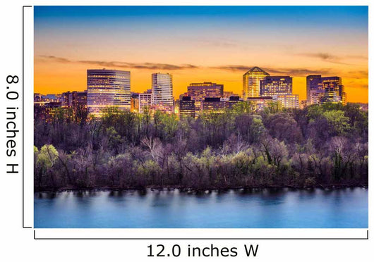Rosslyn Skyline Washington Dc Wall Decal