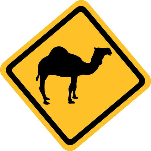 Yellow Sign with Camel Wall Decal