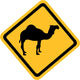 Yellow Sign with Camel Wall Decal